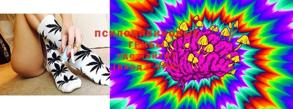 мдпв Богданович