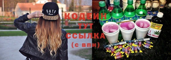 МДПВ Пересвет
