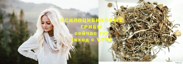 мдпв Богданович