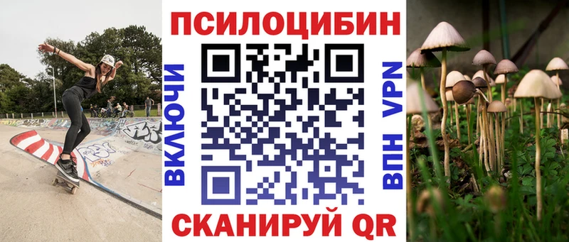 KRAKEN онион Вуктыл Галлюциногенные грибы Psilocybine cubensis где купить